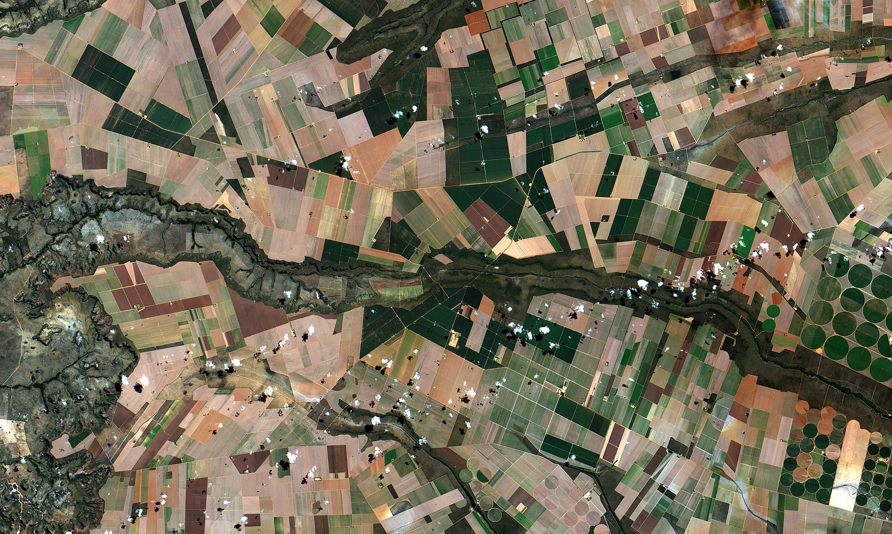 Argentina Farm Exports Hit US$2.75 Billion in August, Up 51 Percent on Corn Surge