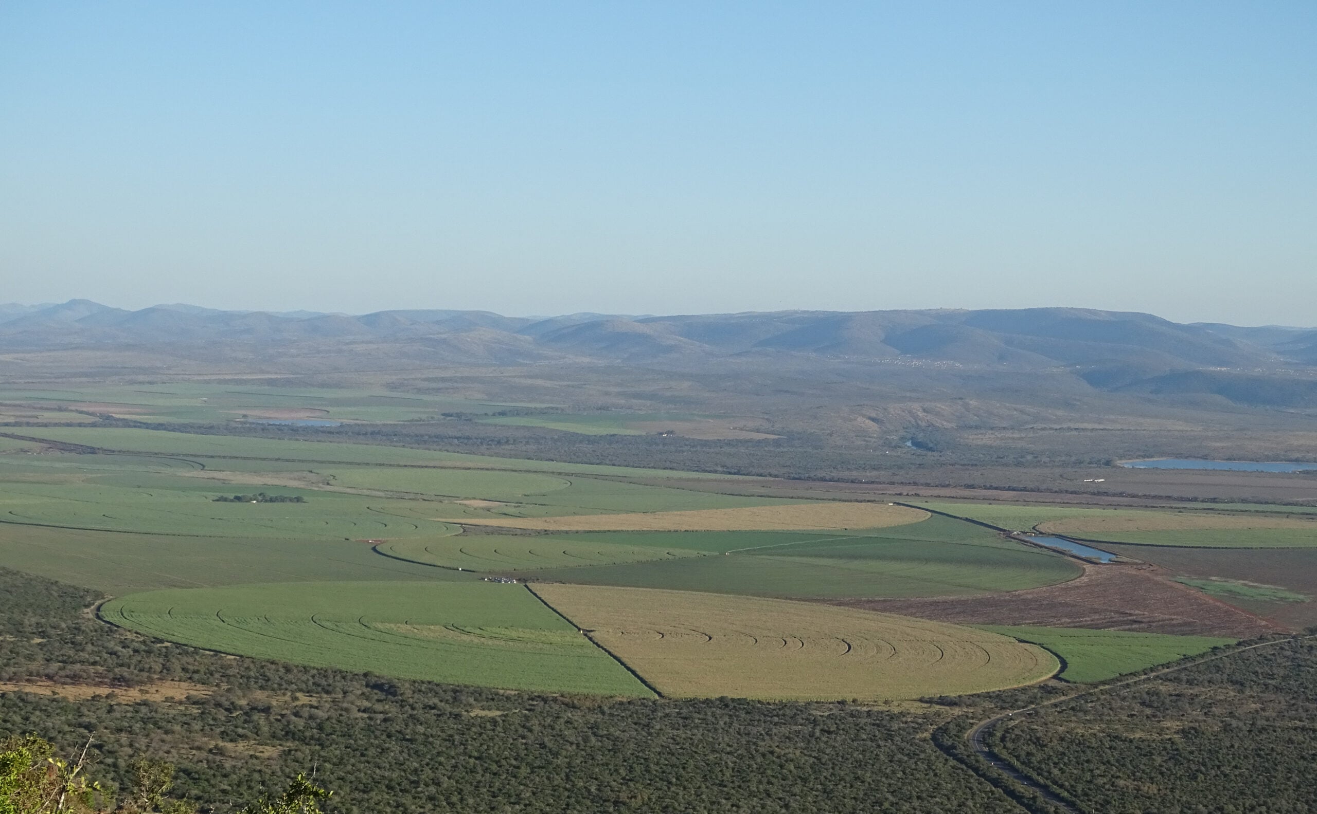 South Africa sugar duty - irrigated cane fields in the Mkuze valley, KwaZulu-Natal