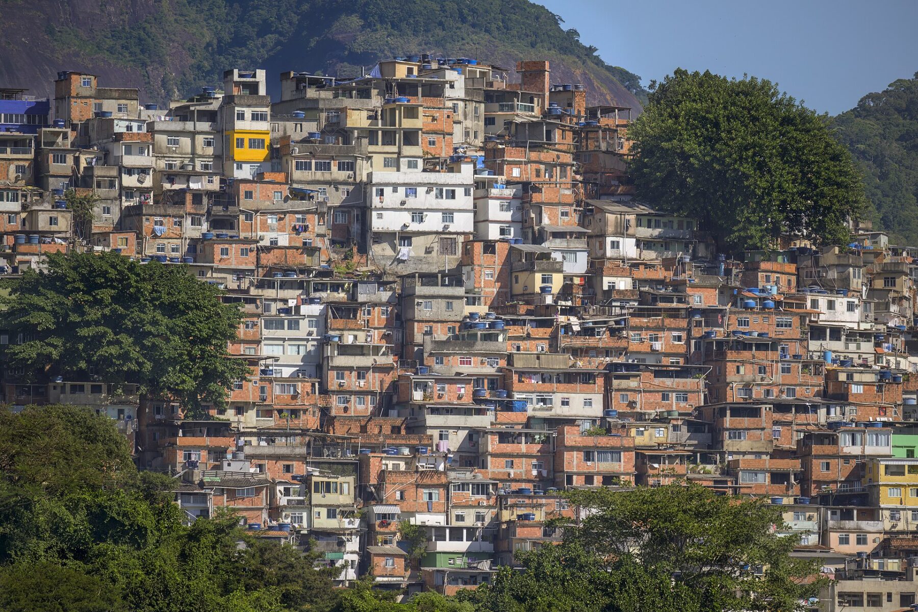 Brazilian Funk: How Rio's Favela Sound Took Over Global Playlists
