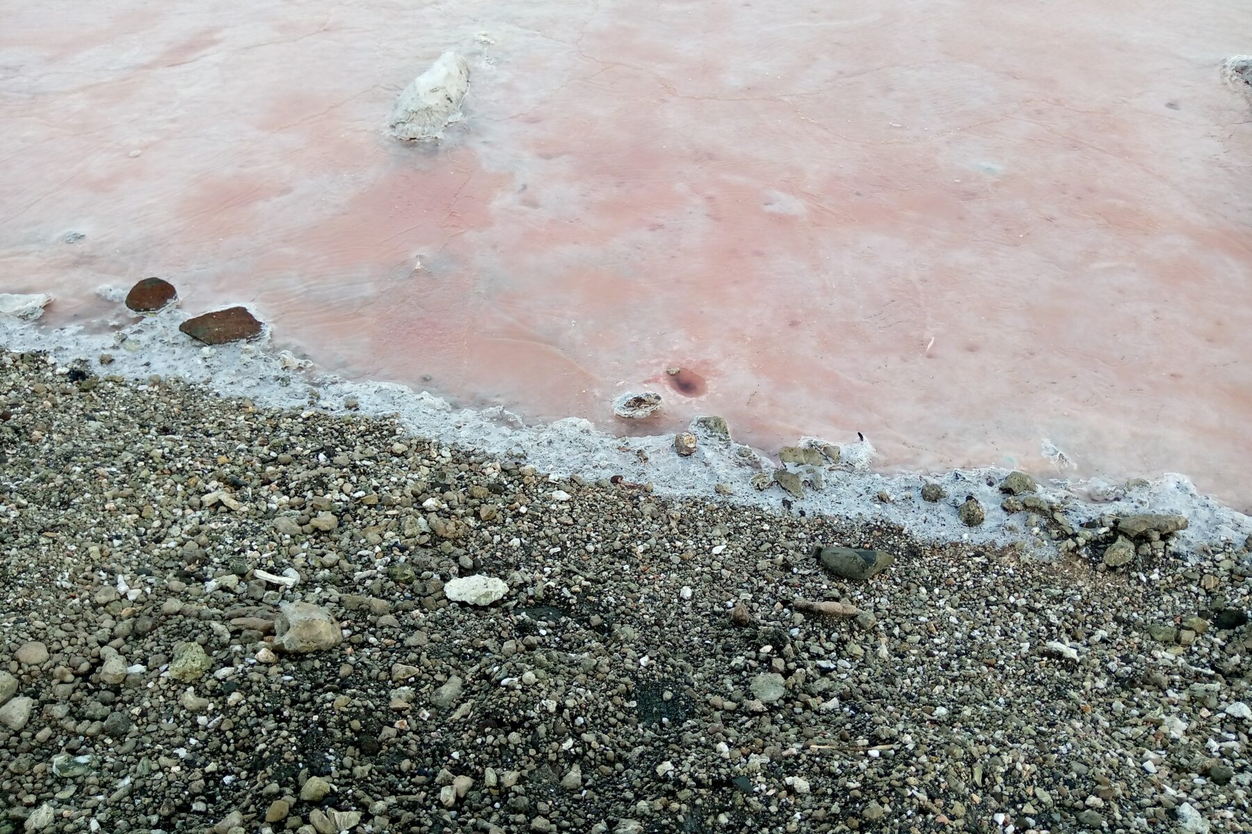 Salt brine at Lake Magadi, Kenya (Mmaua1, CC BY-SA 4.0, via Wikimedia Commons)