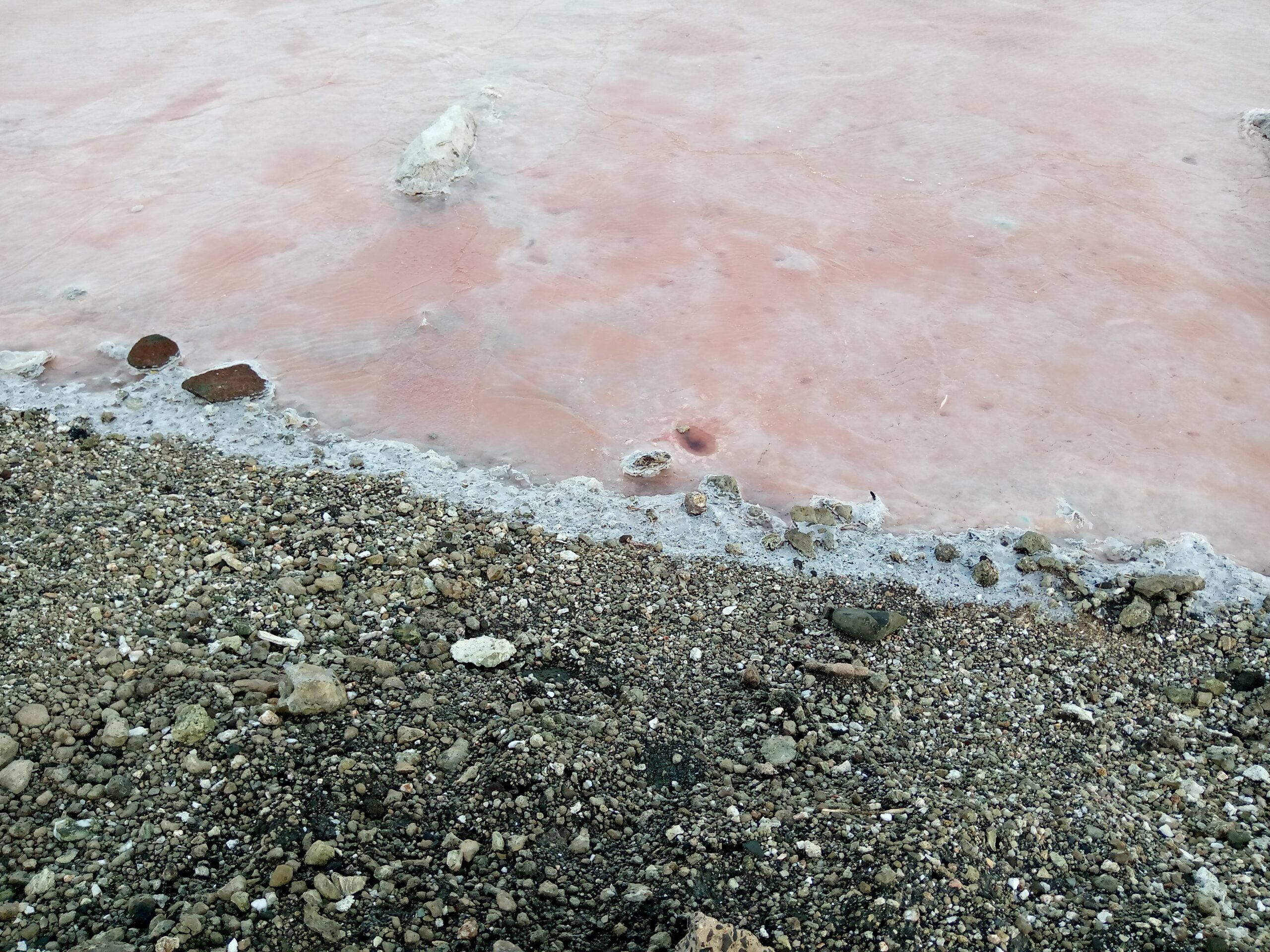 Tata Chemicals Kenya — salt brine at Lake Magadi in the Rift Valley