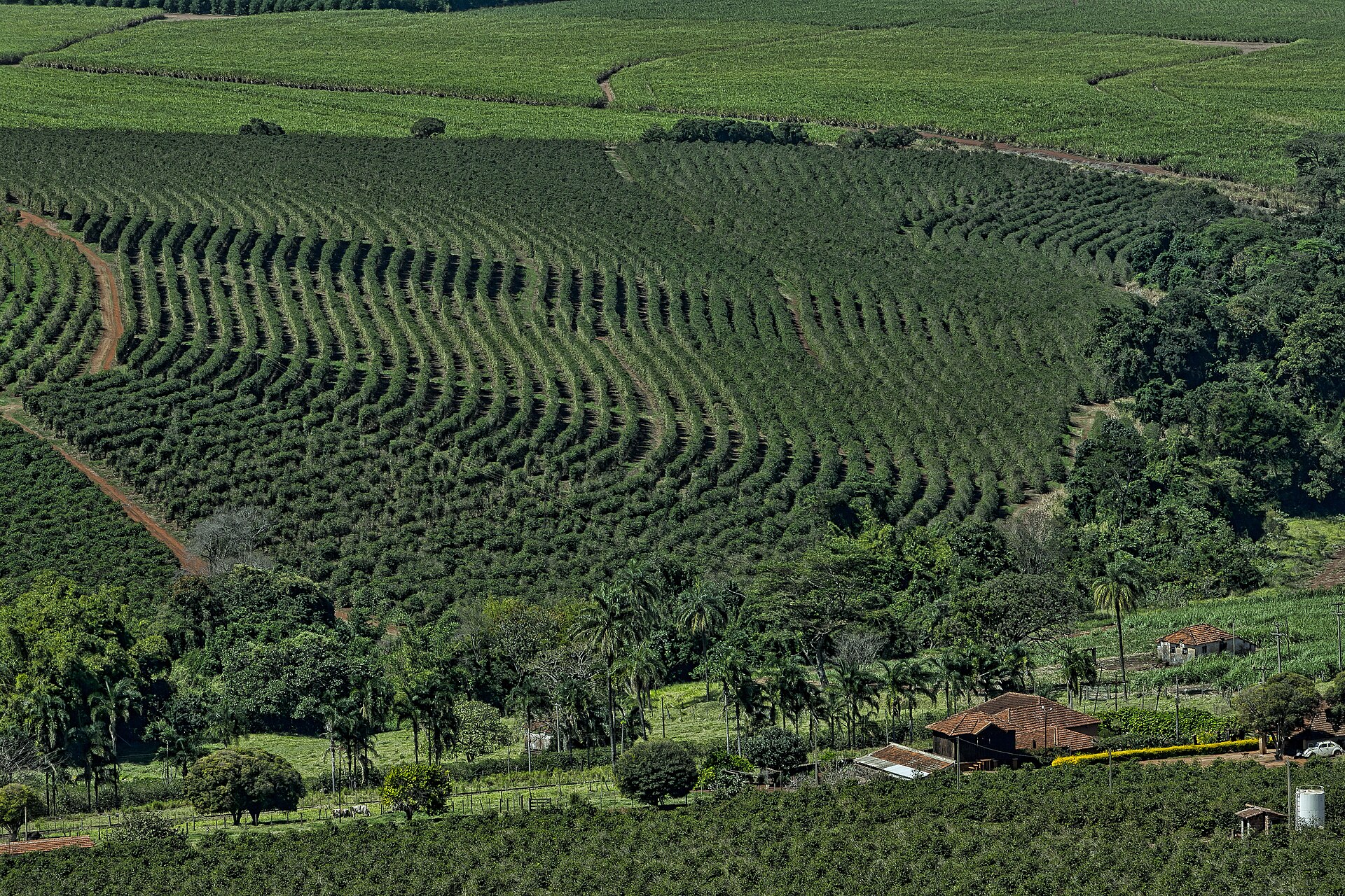 Brazil Lands Two Cafes Among the World's 100 Best Coffee Shops