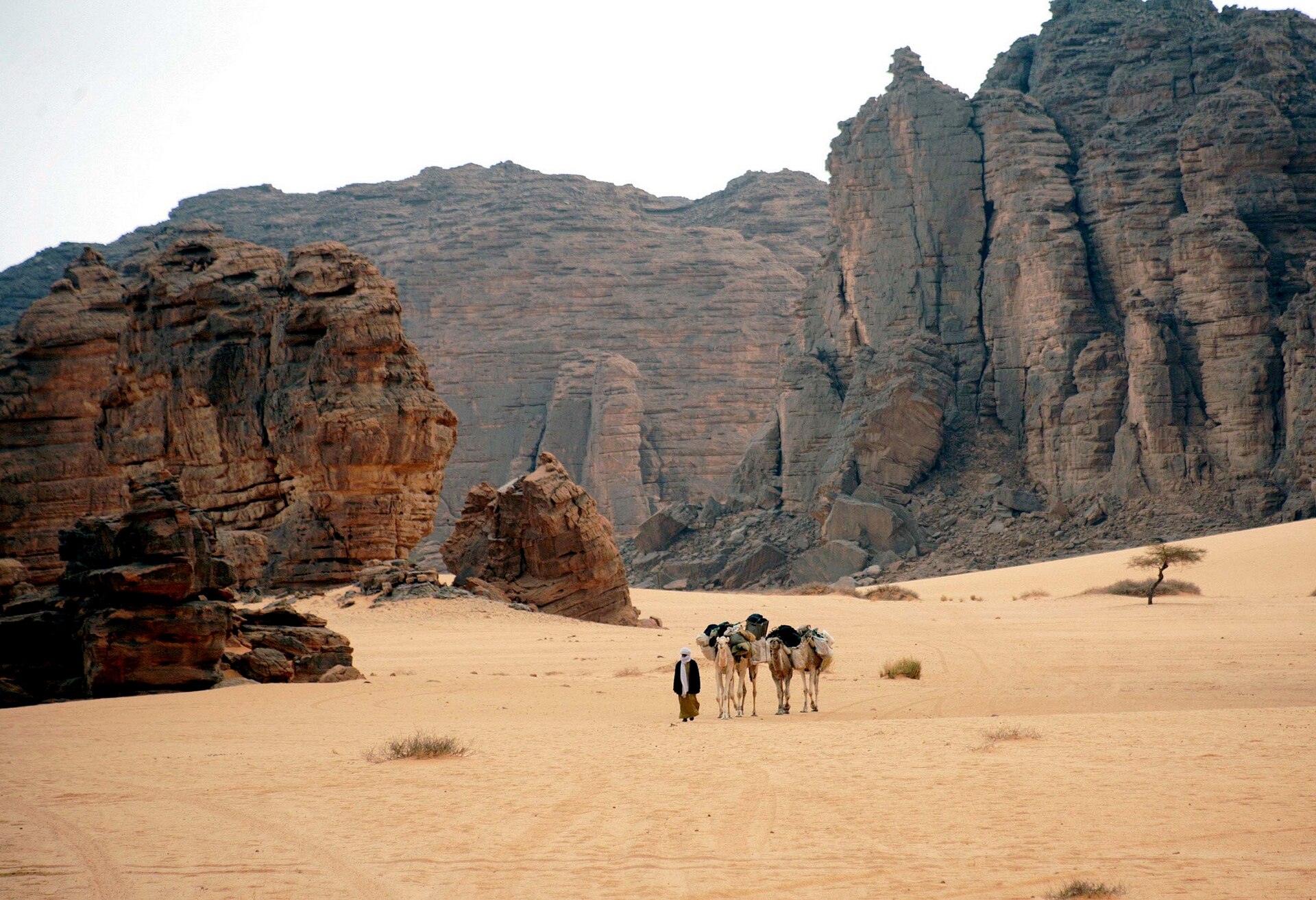 A landscape in Algeria