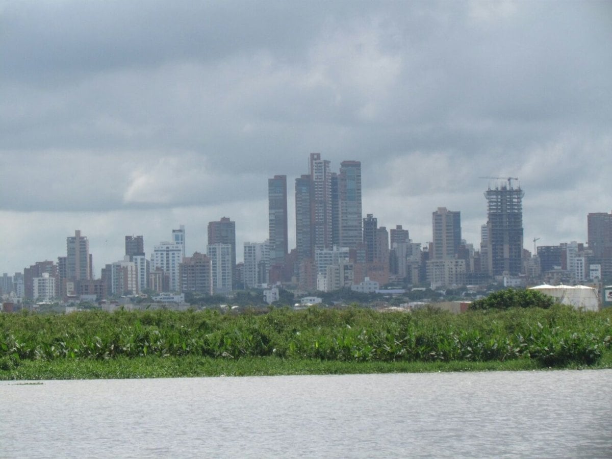 The Barranquilla skyline seen across the Magdalena river, with high-rise towers behind green riverbank vegetation