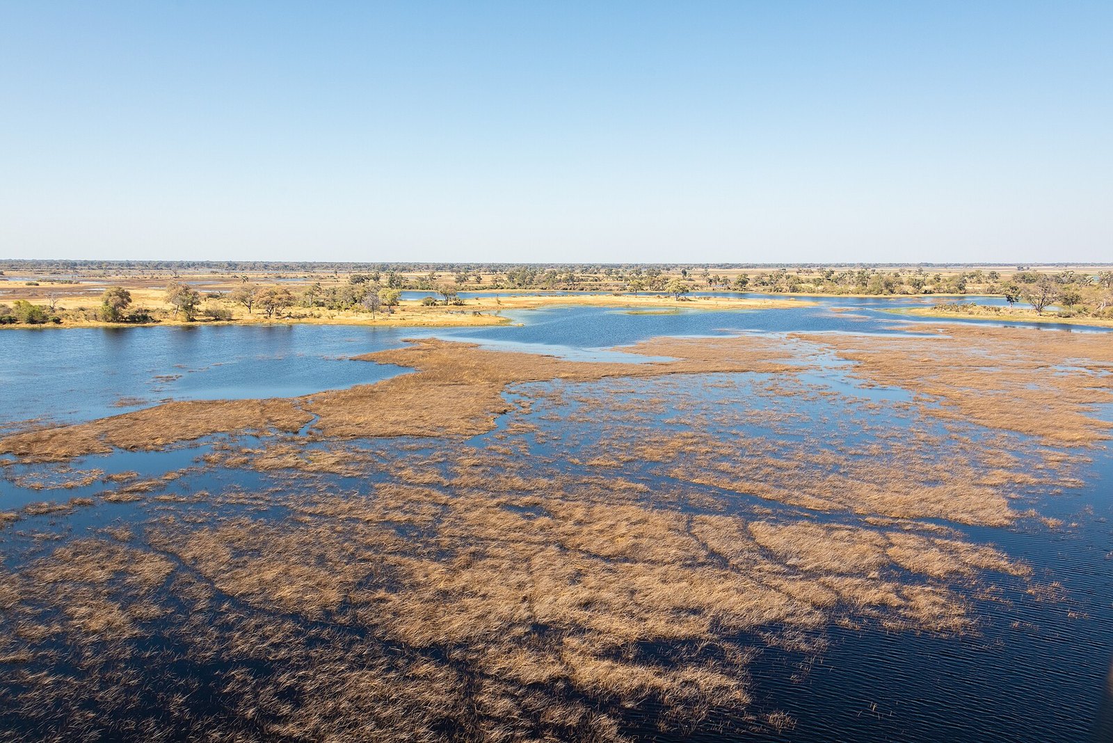 Aerial view of the Okavango Delta in northern Botswana