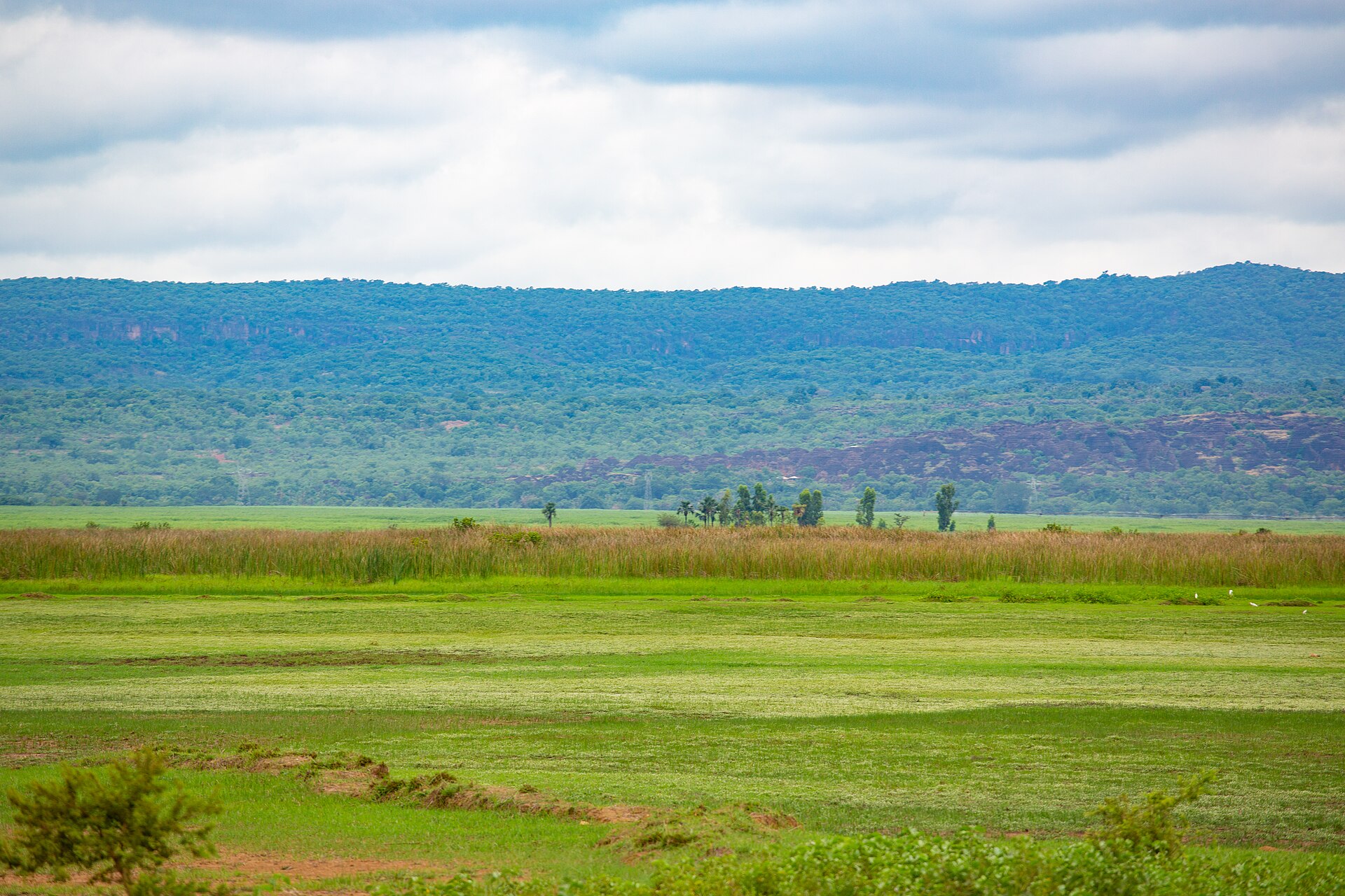 A rural landscape in Burkina Faso