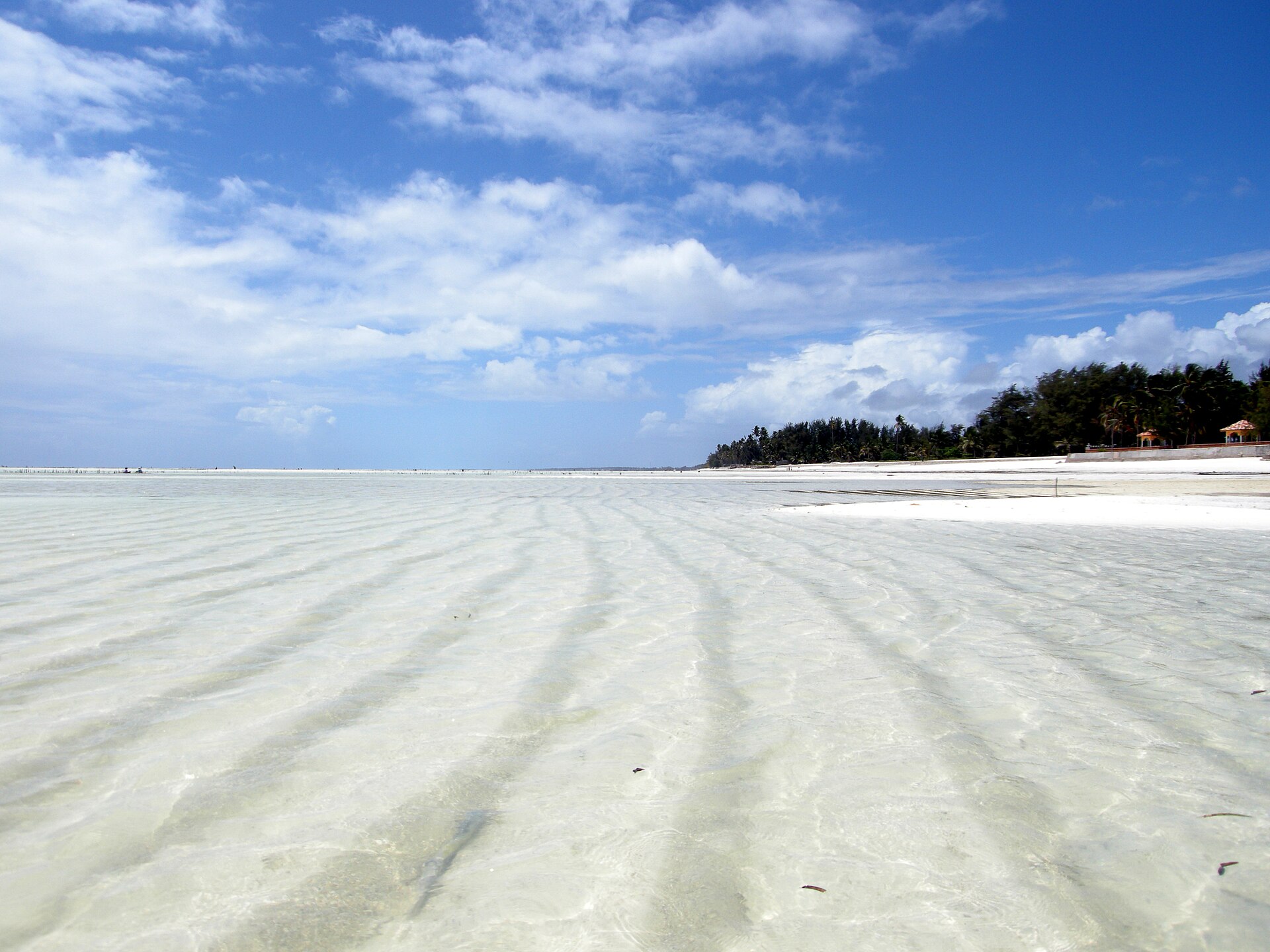 Buying property in Tanzania Zanzibar — Paje beach at low tide on the east coast