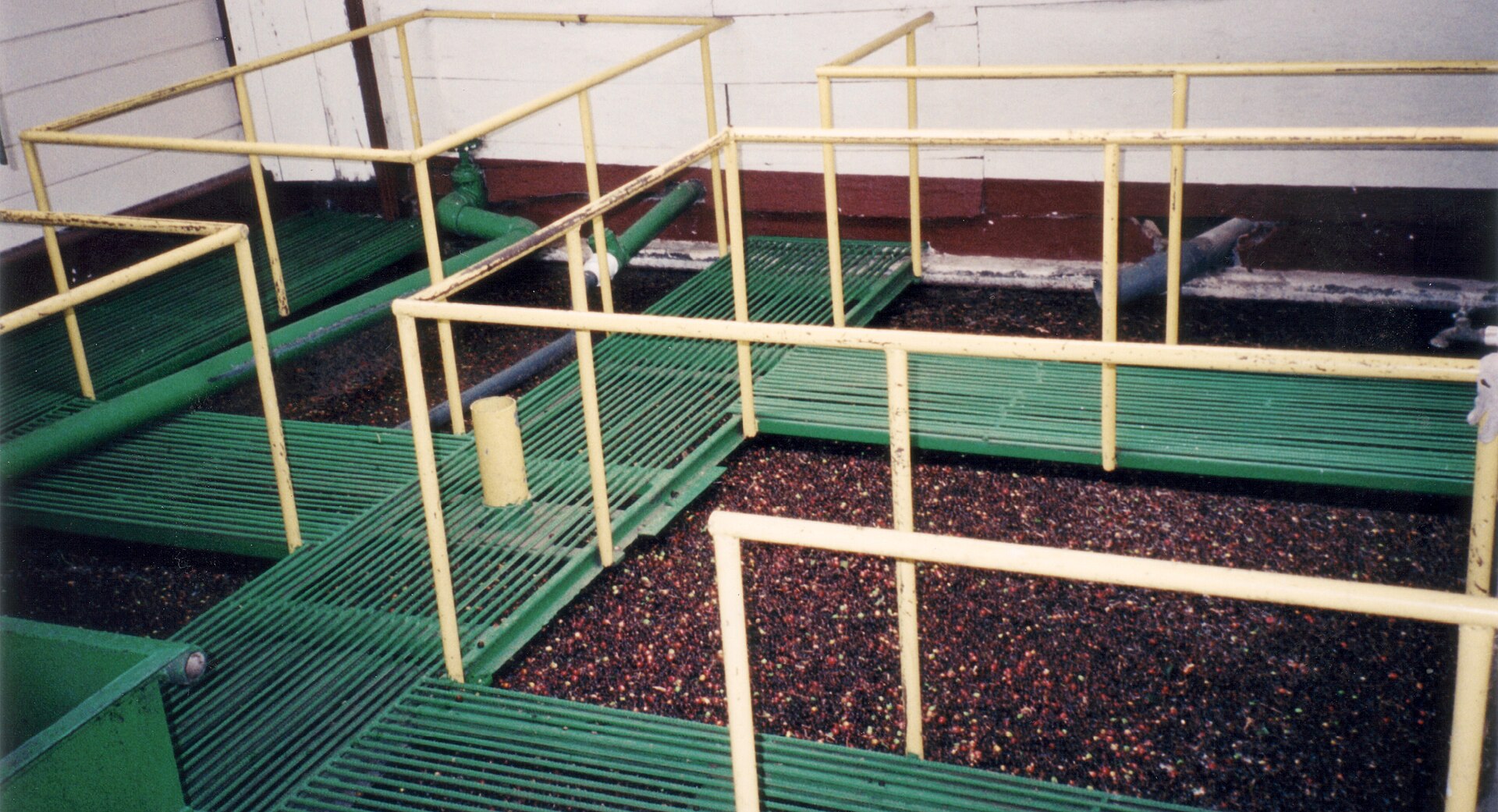 Coffee processing in Burundi
