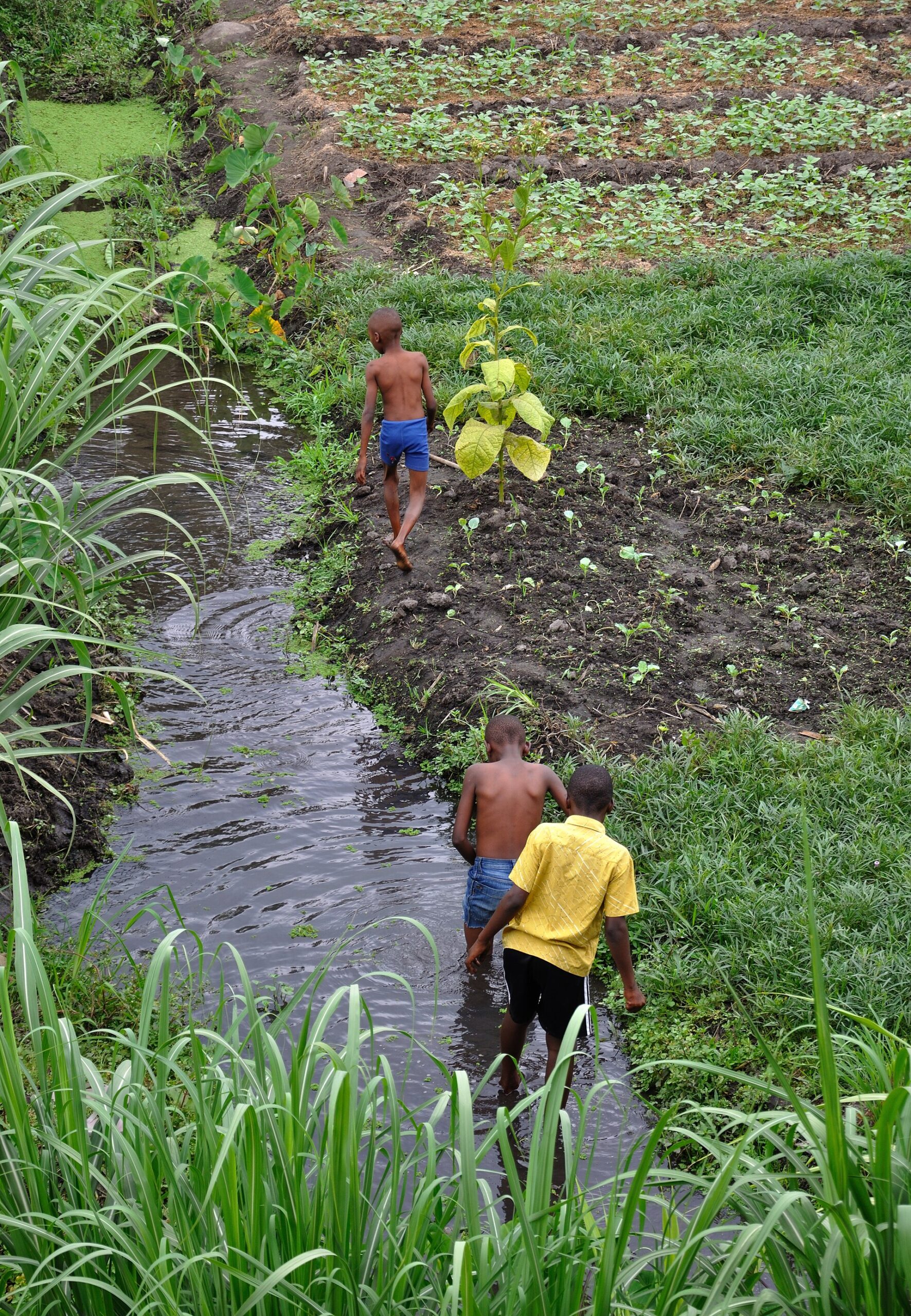 A rural scene near Mwanza, Tanzania