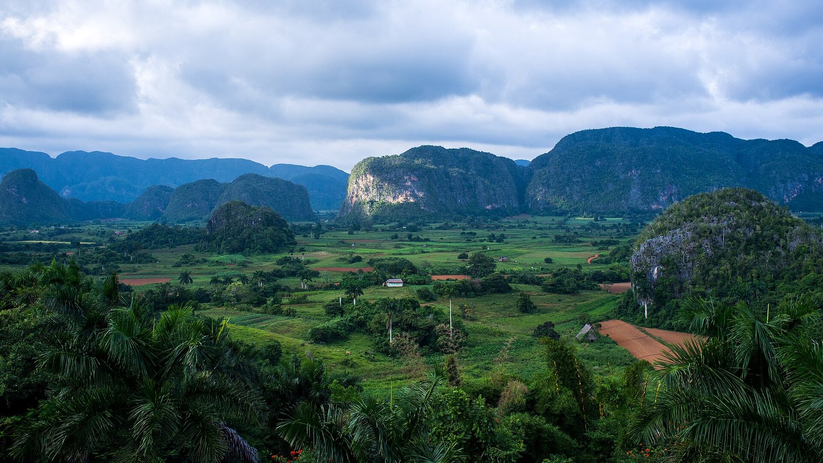 The Viñales valley in western Cuba with limestone hills and farmland