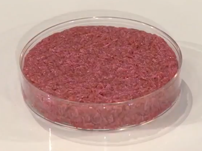 Steel bioreactor tanks in a laboratory used to grow cultivated meat from animal cells