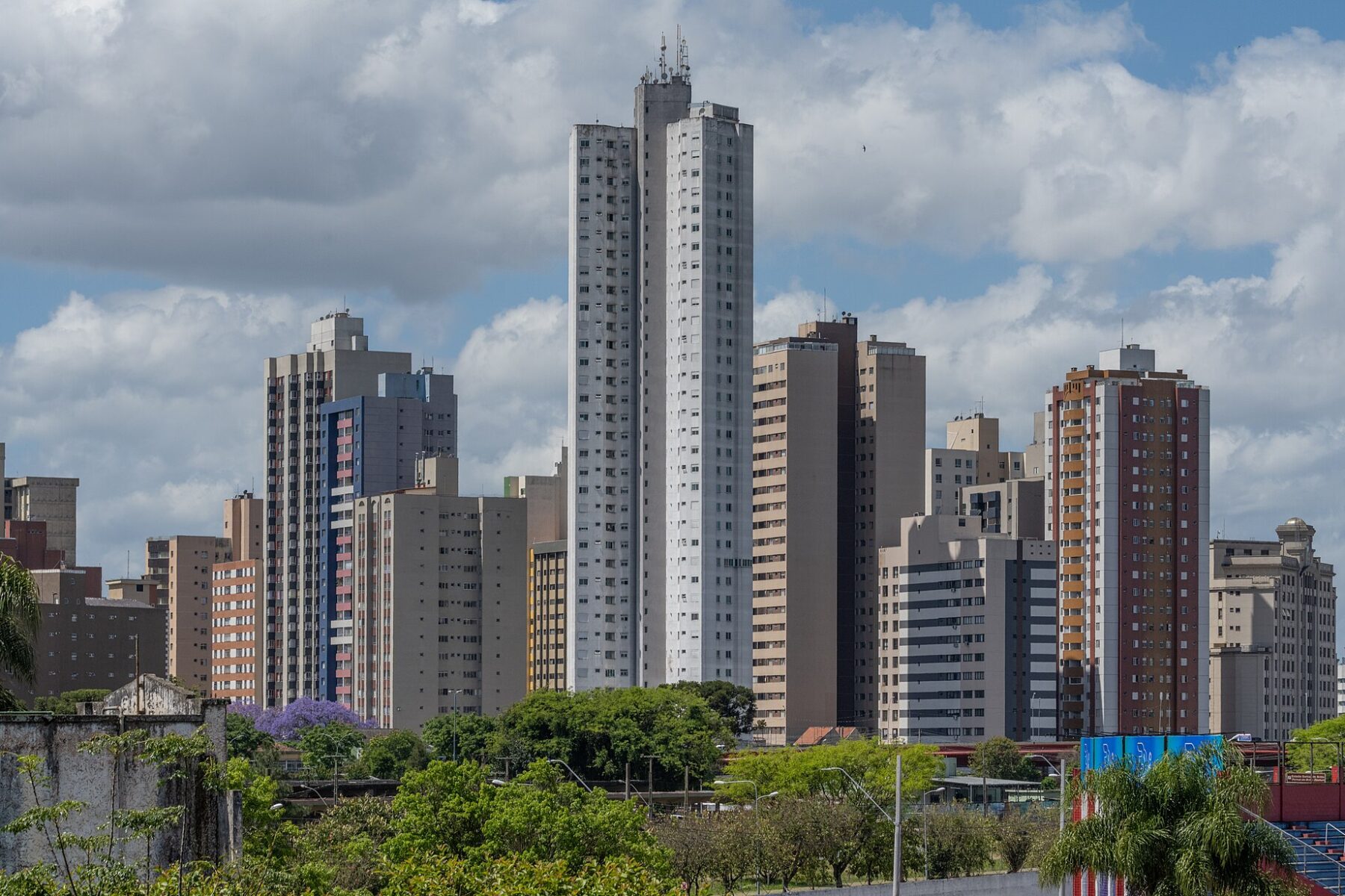 Apartment towers of central Curitiba under a bright sky, with a jacaranda in bloom and tree-lined streets in the foreground.