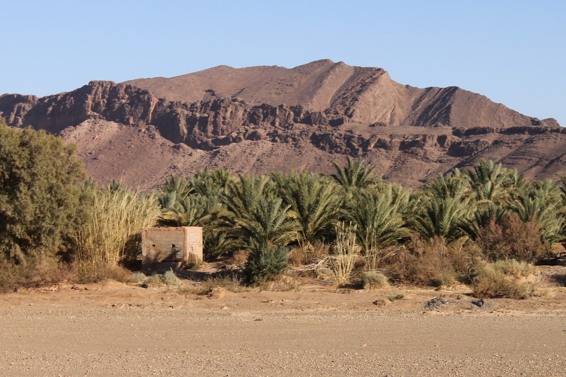 Desert landscape near Zagora in southern Morocco