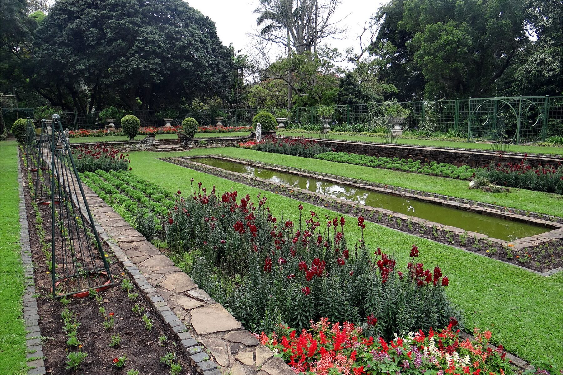 Formal beds at the Durban Botanic Gardens, with red flowers, clipped hedges, a long ornamental pond and large trees behind.