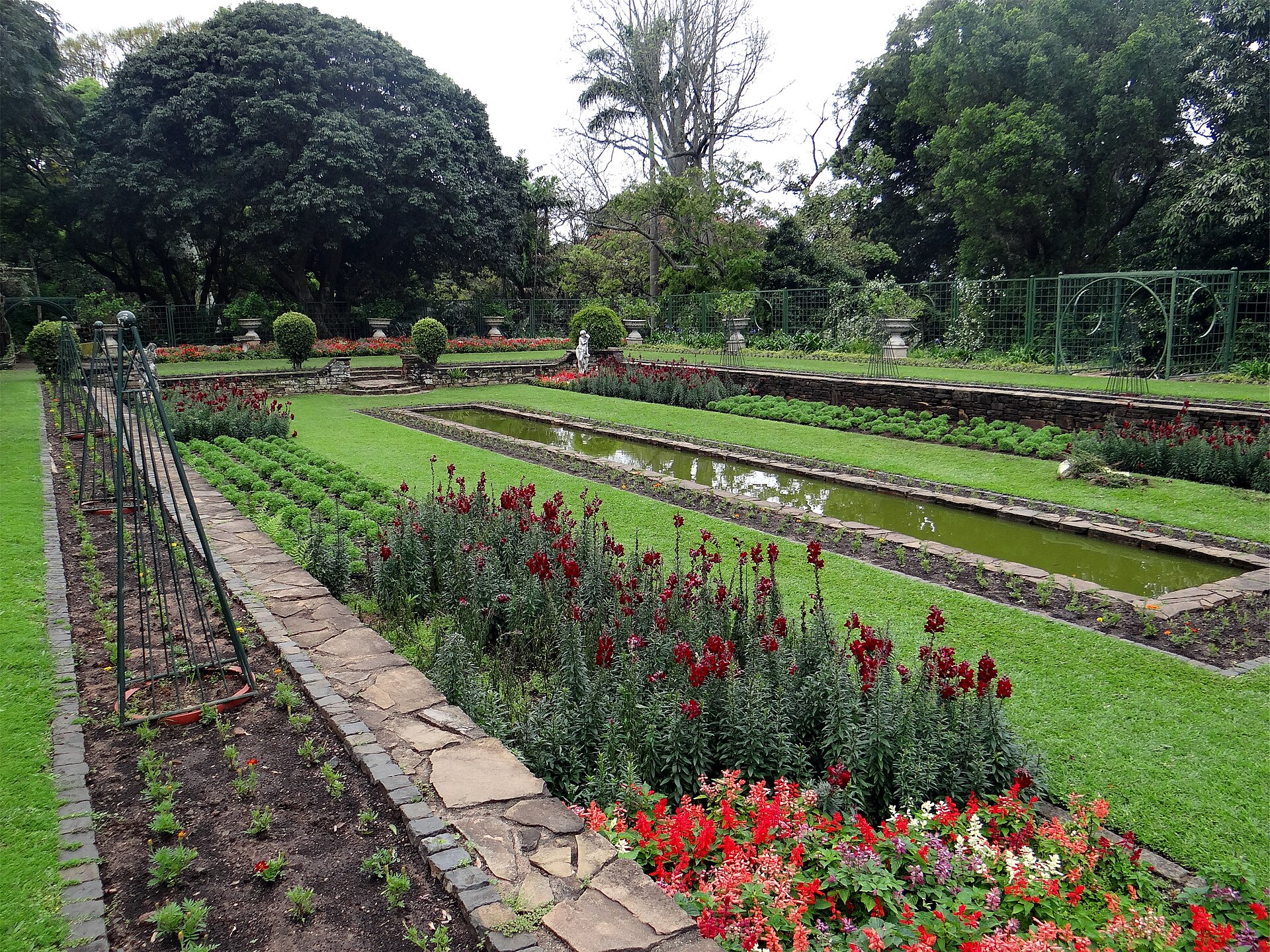 Formal beds at the Durban Botanic Gardens, with red flowers, clipped hedges, a long ornamental pond and large trees behind.