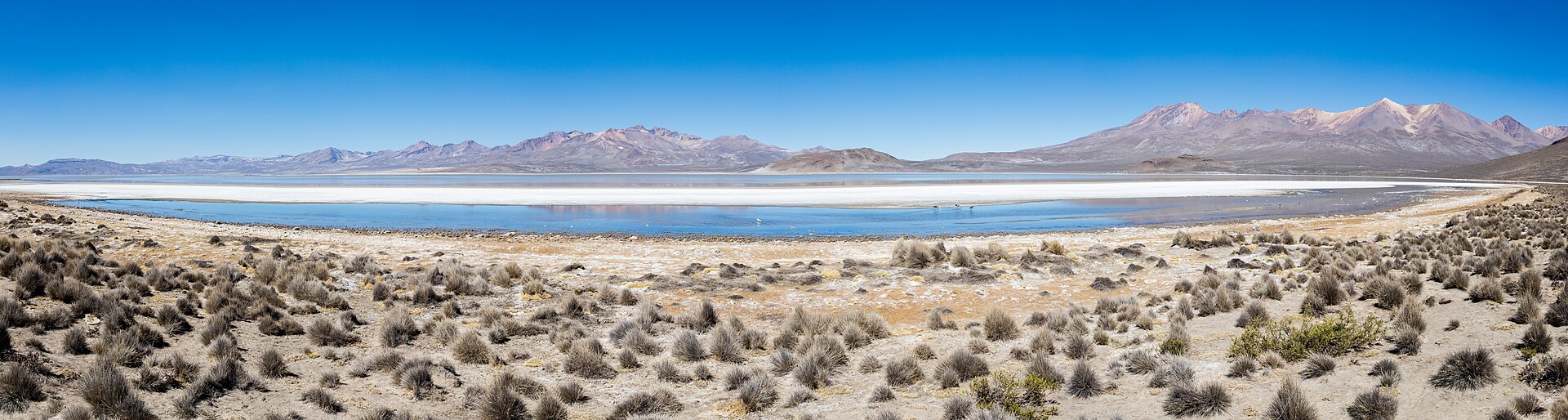 Laguna de Salinas in the Arequipa region, a high-altitude salt lagoon with white flats, shallow blue water and brown mountains behind.