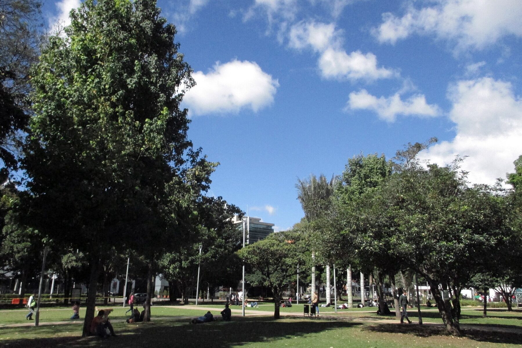 Parque de la 93 in Bogotá, Colombia, where the EVA Love Edition fair runs until 20 September 2026
