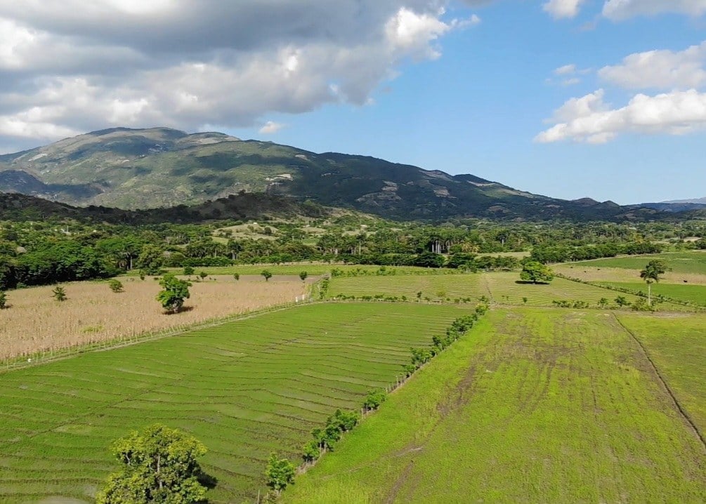 San Juan farmers protest - Green irrigated fields below forested hills near El Cercado, San Juan province