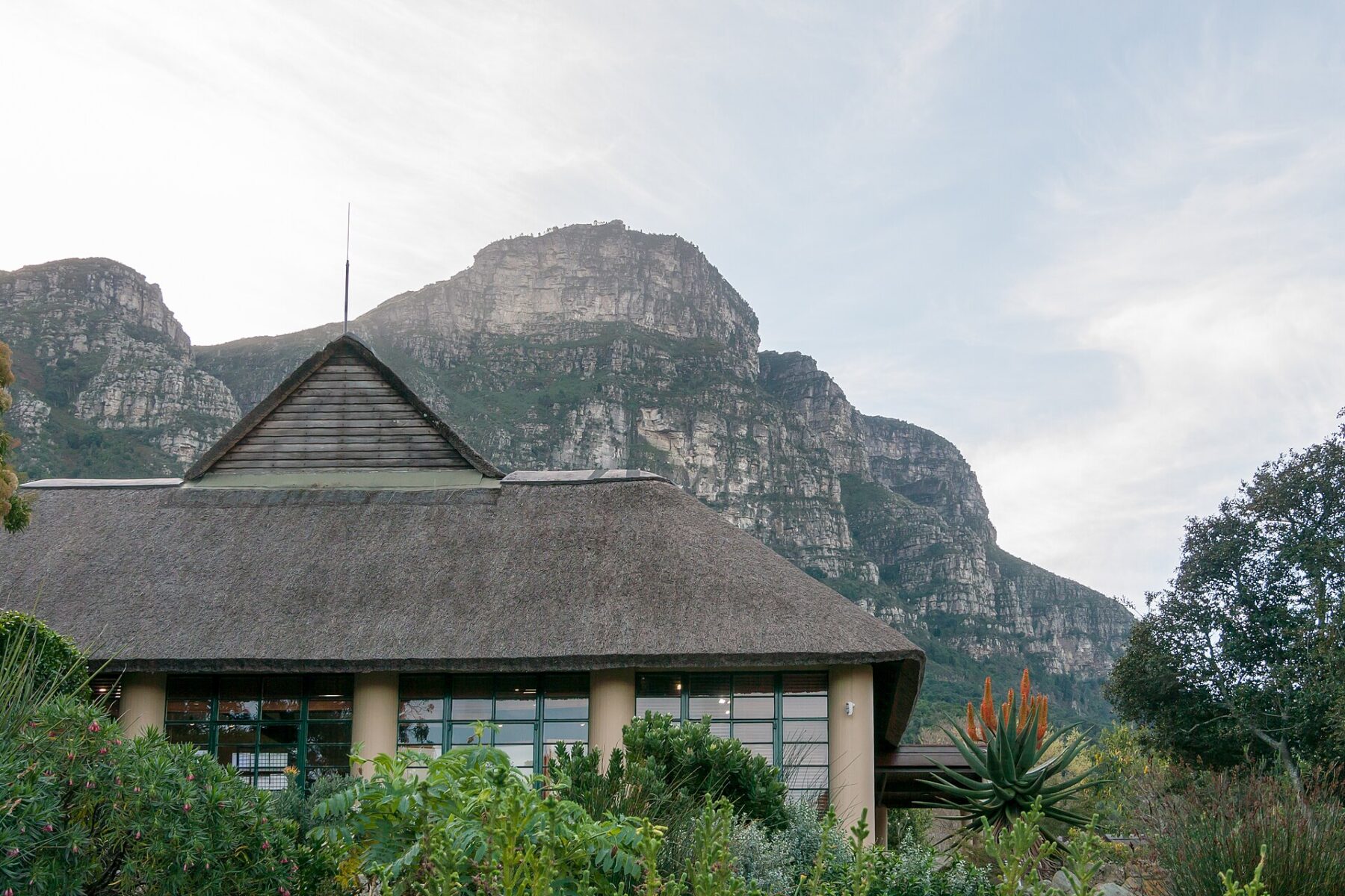 The Kirstenbosch National Botanical Garden in Cape Town, South Africa, where Leon Bridges performs on 30 November 2026