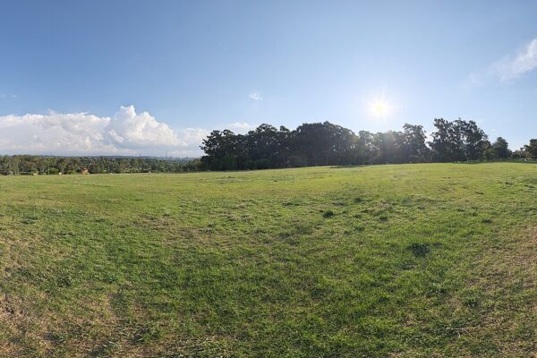 The open lawn of James and Ethel Gray Park in Johannesburg, South Africa, where Fatboy Slim plays on 12 December 2026