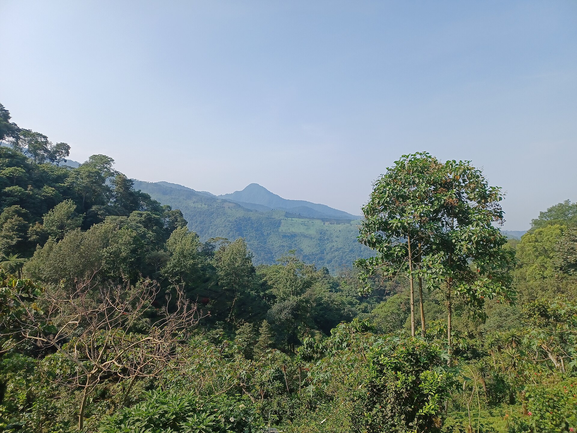 Guatemala explained 2026 — the El Vergel coffee plantation in San Marcos department