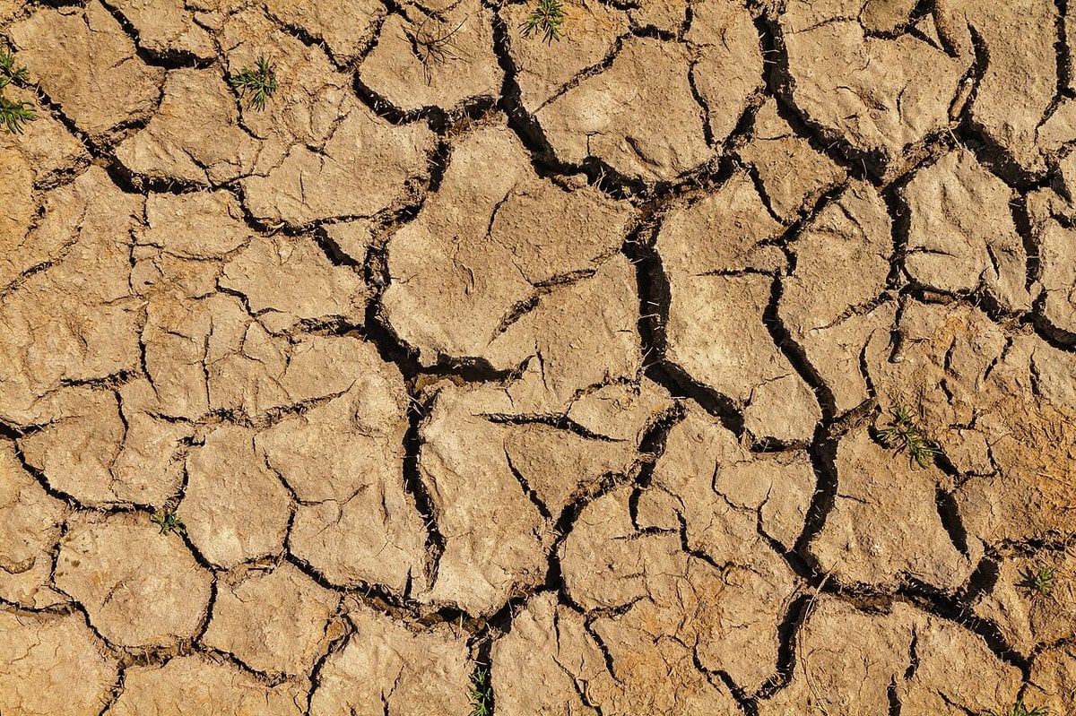 Cracked dry soil in a field after a long period without rain