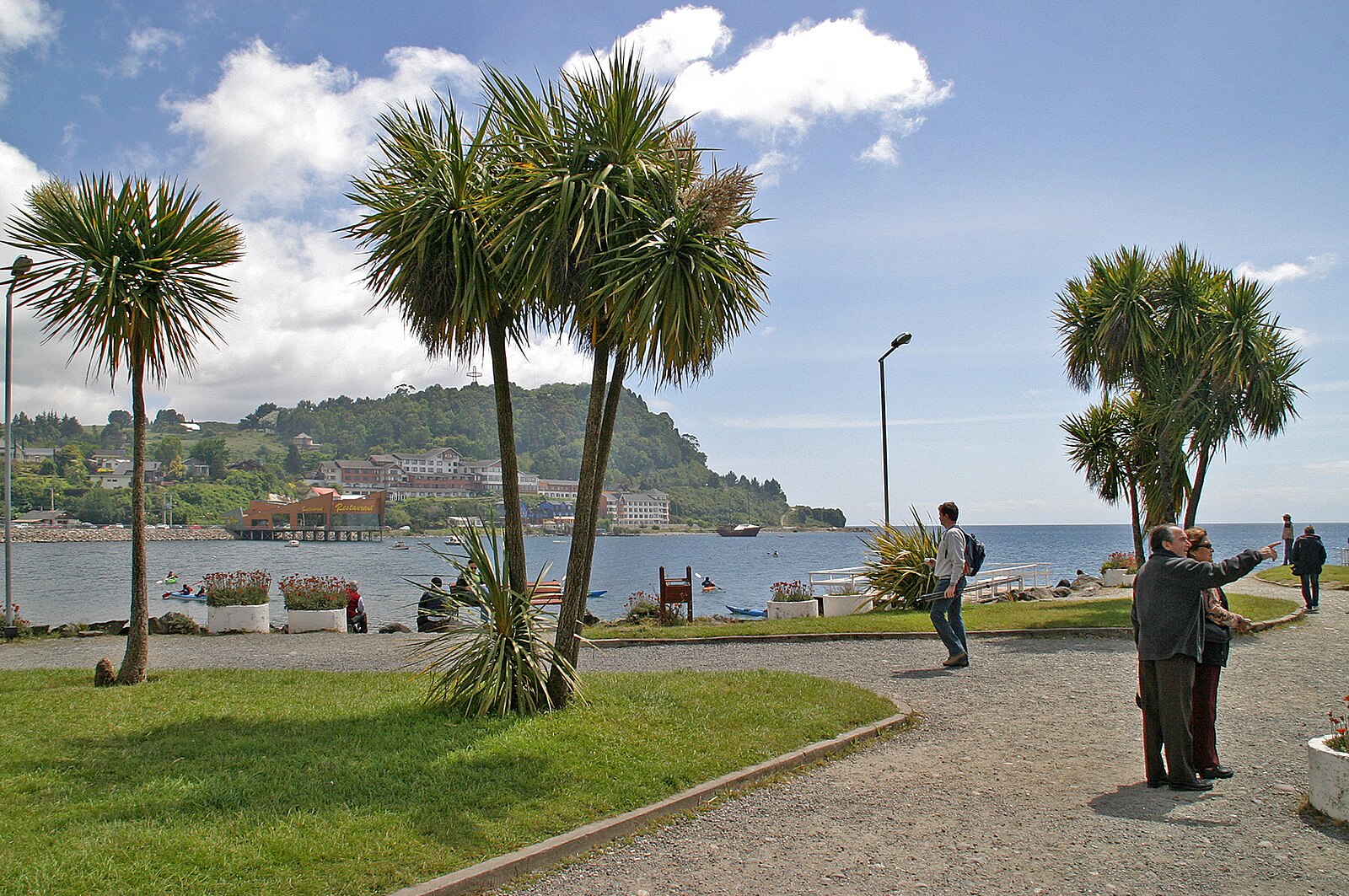 Puerto Varas Lake Llanquihue Chile property