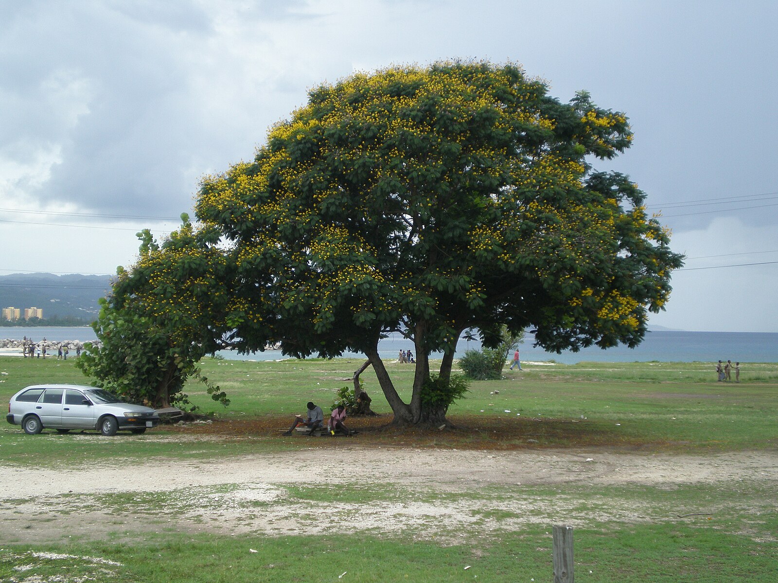 Montego Bay hotels and town Jamaica property