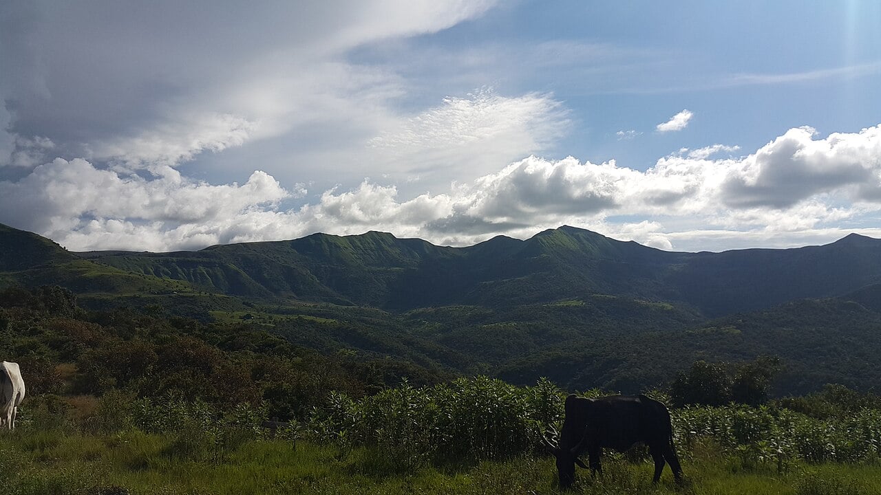 Green hills of the Mambilla Plateau in Taraba State, site of the dam at the centre of the Mambilla ICC arbitration ruling
