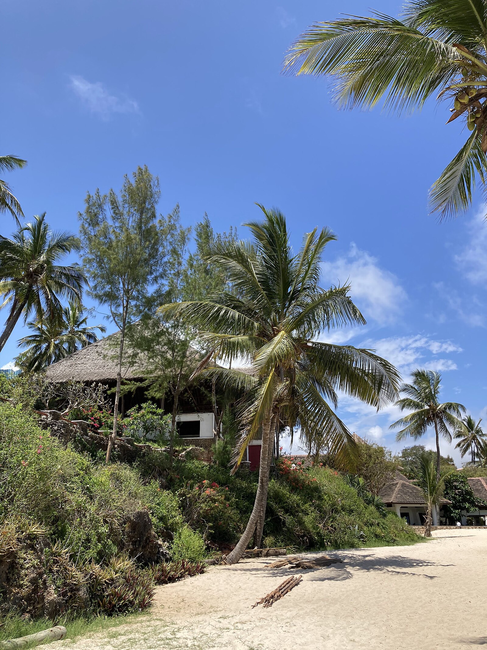 Mombasa Kenya beach coast