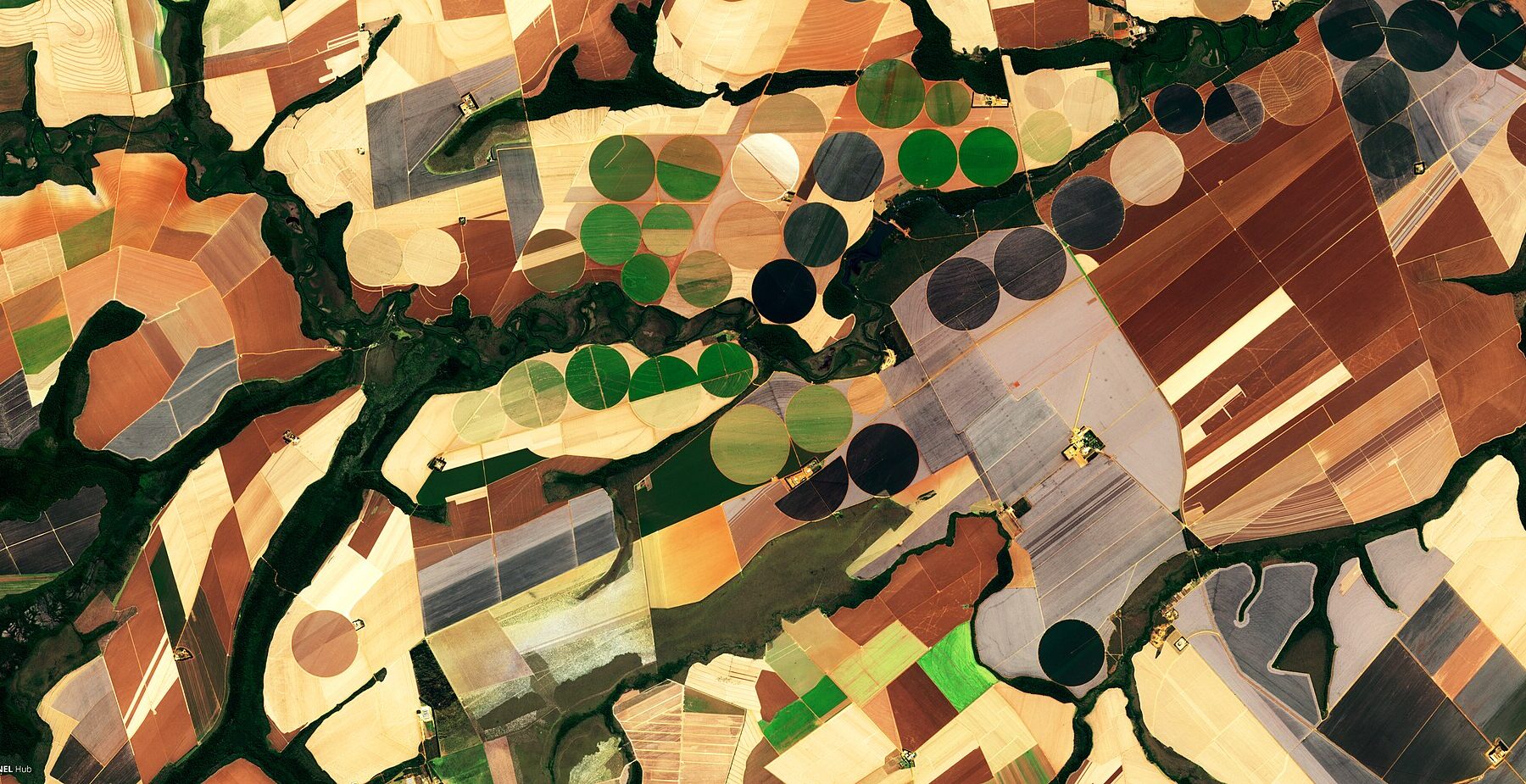 Soybean production on a farm in Brazil