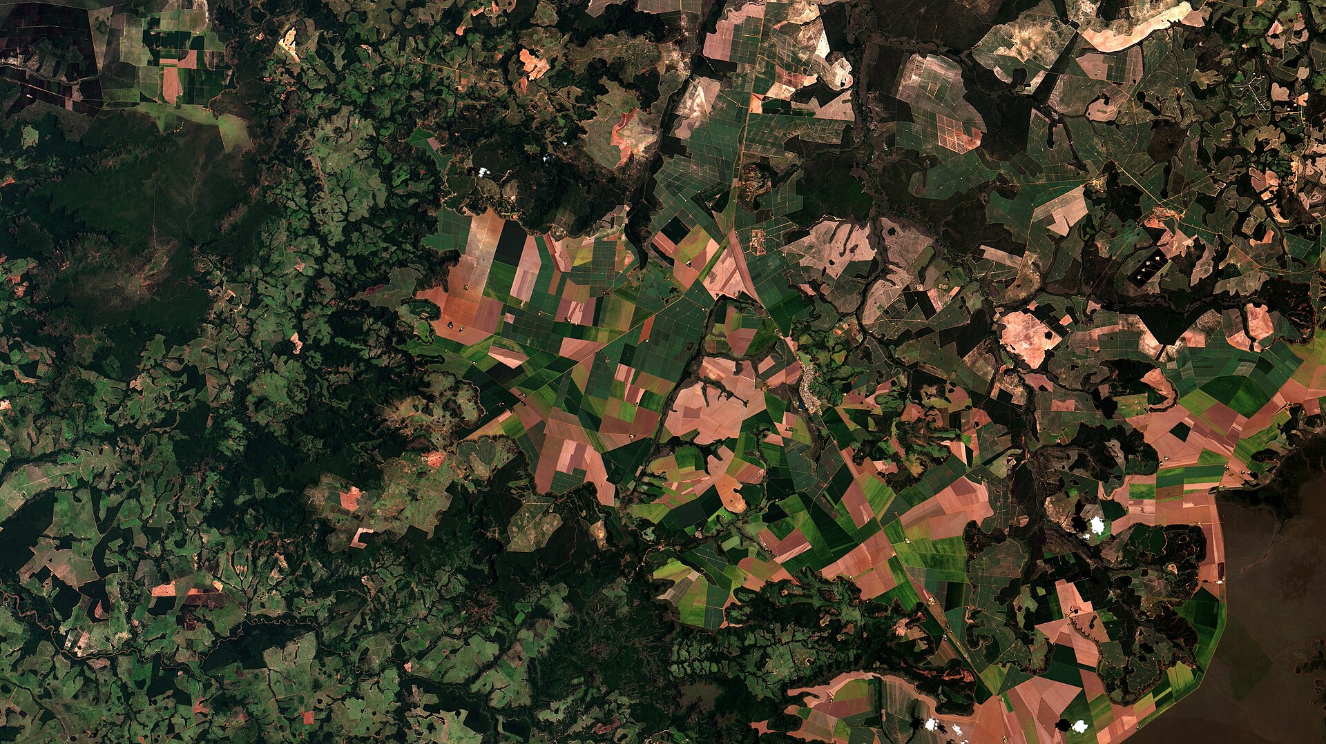Farmland at Alto Taquari in Mato Grosso, Brazil