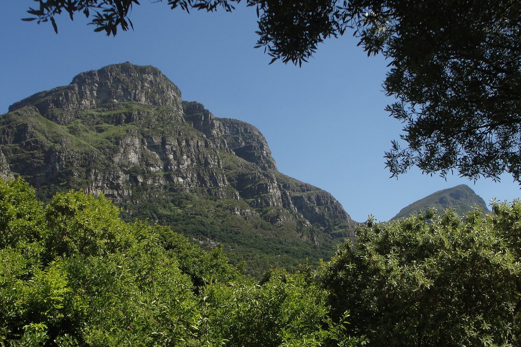 Table Mountain and Devil's Peak above Kirstenbosch Botanical Garden in Cape Town, South Africa, where Jack White performs on 14 December 2026