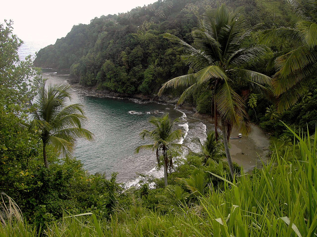 A forested cove and beach within the Kalinago Territory on Dominica's northeast coast.
