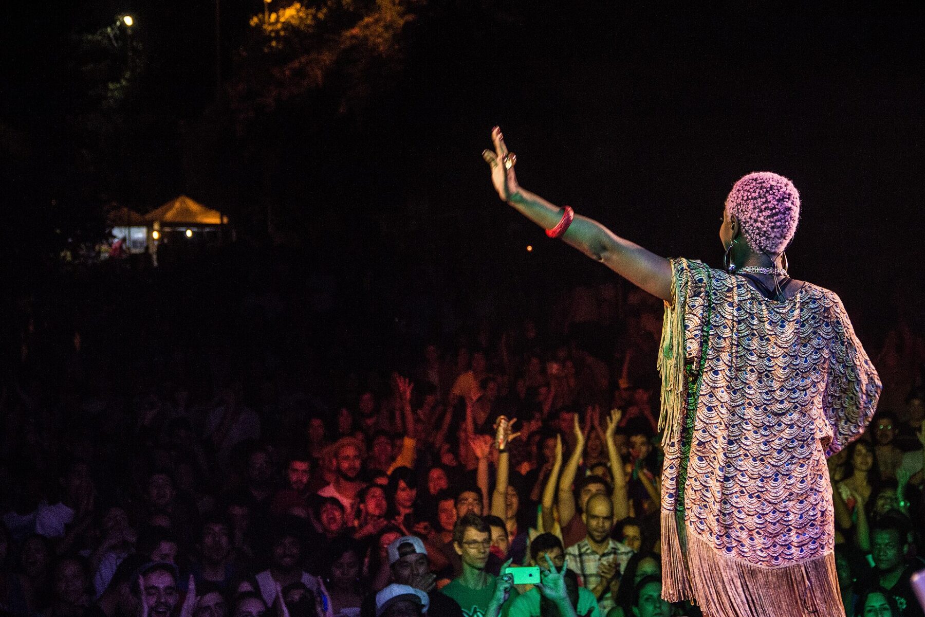 The Brazilian singer Karol Conká on stage at night, one arm raised towards a crowd lit in red and purple.