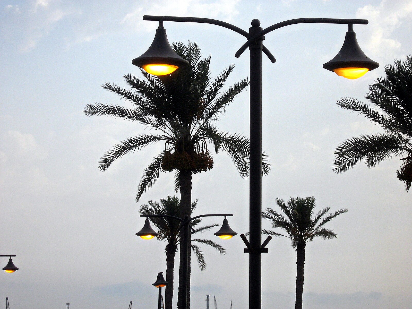 Libya explained 2026 — street lamps and palm trees in Tripoli
