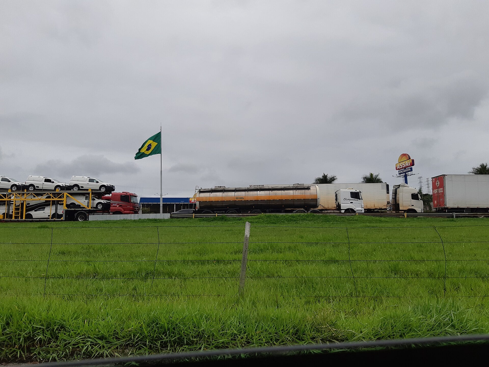 A line of lorries stopped beside the BR-116 highway in Brazil, including a car transporter and a tanker, under a grey sky.