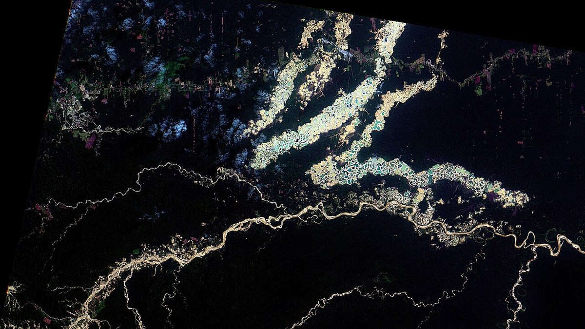 Satellite view of the Madre de Dios region of the Peruvian Amazon, showing pale scars of gold mining beside winding rivers