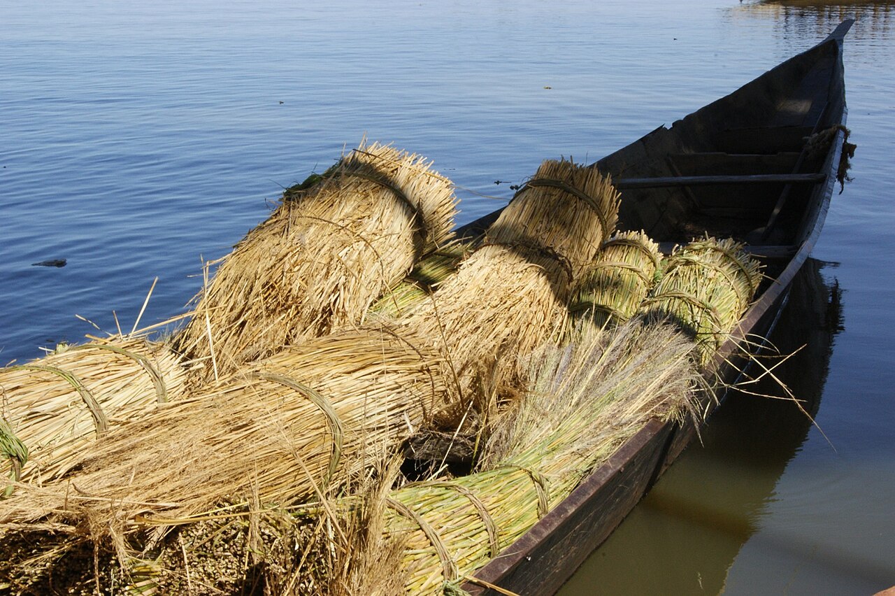 Mali explained: a pirogue loaded with bundles of grass on the Niger River at Mopti
