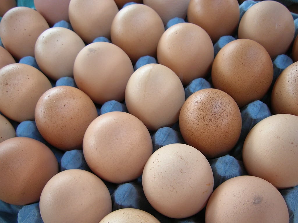 Mantiqueira expansion: rows of brown chicken eggs in a blue cardboard tray