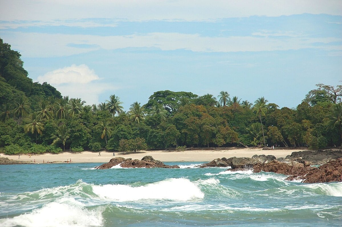A beach backed by palm forest in Manuel Antonio National Park on Costa Rica's Pacific coast, with surf in the foreground