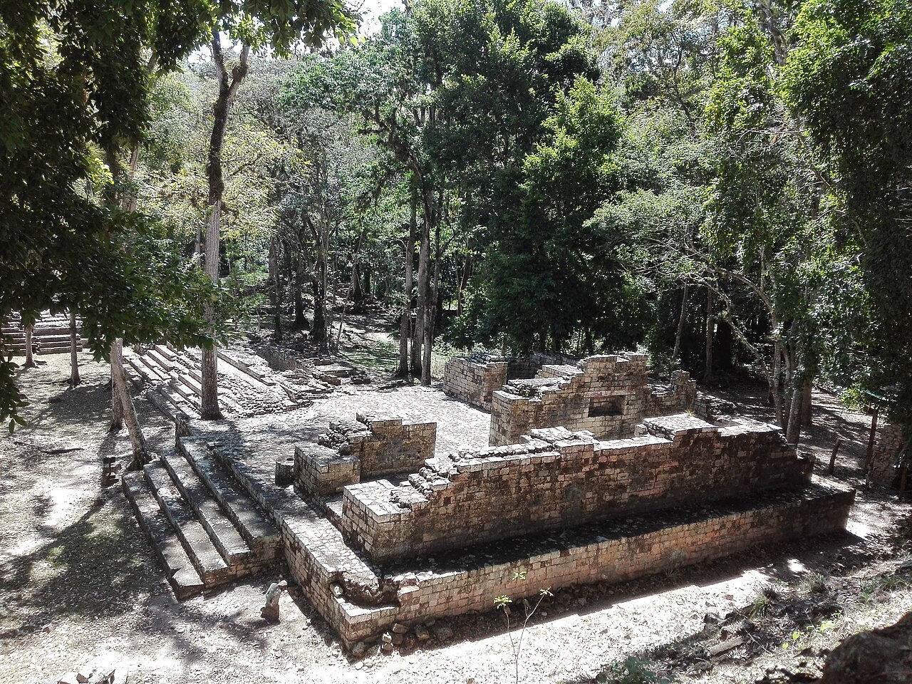 Moving to Honduras 2026 — the Maya ruins of Copán in forest