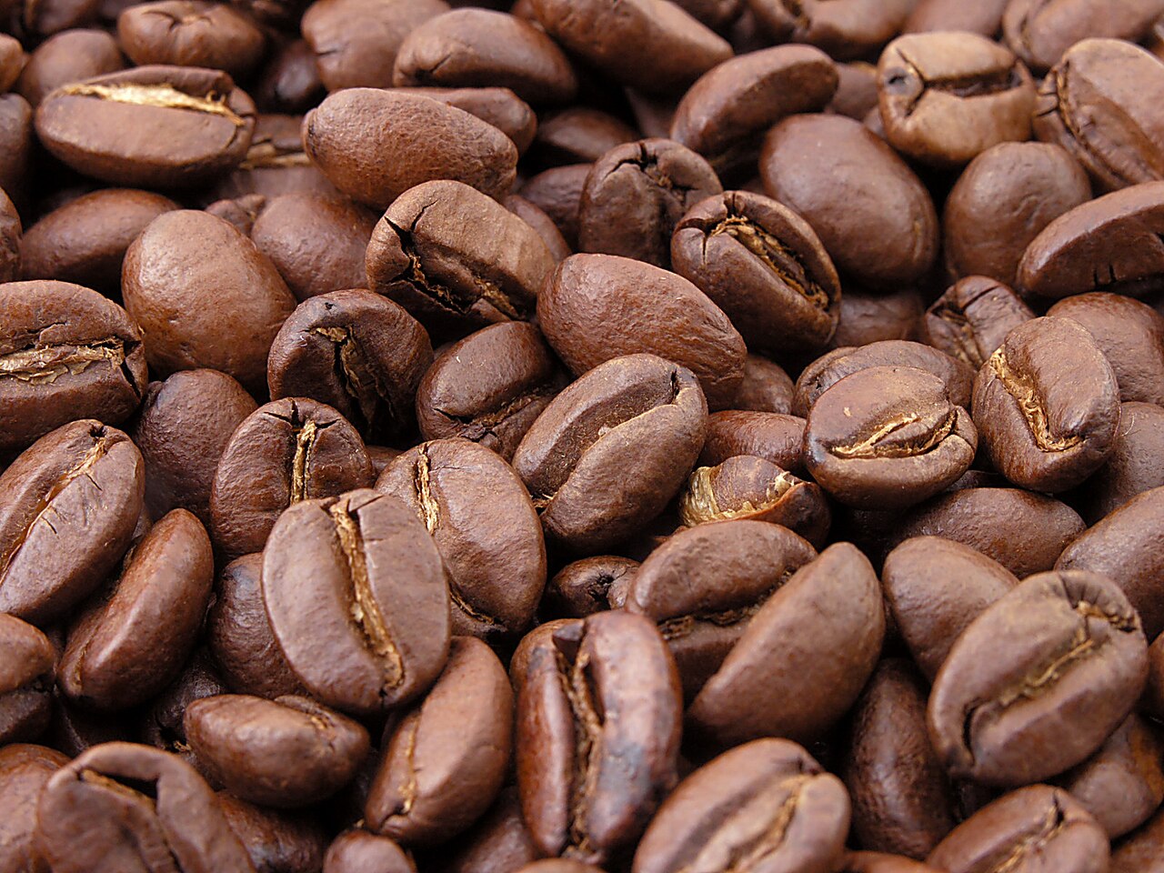 Coffee beans being processed in Brazil, home to coffee giant 3corações