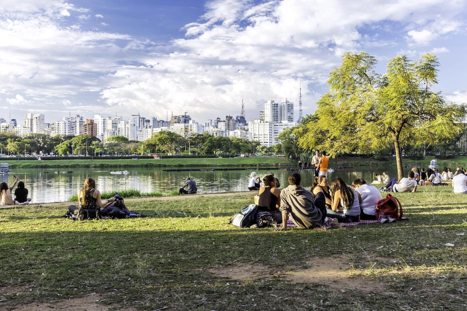 São Paulo, daily life and what's on.