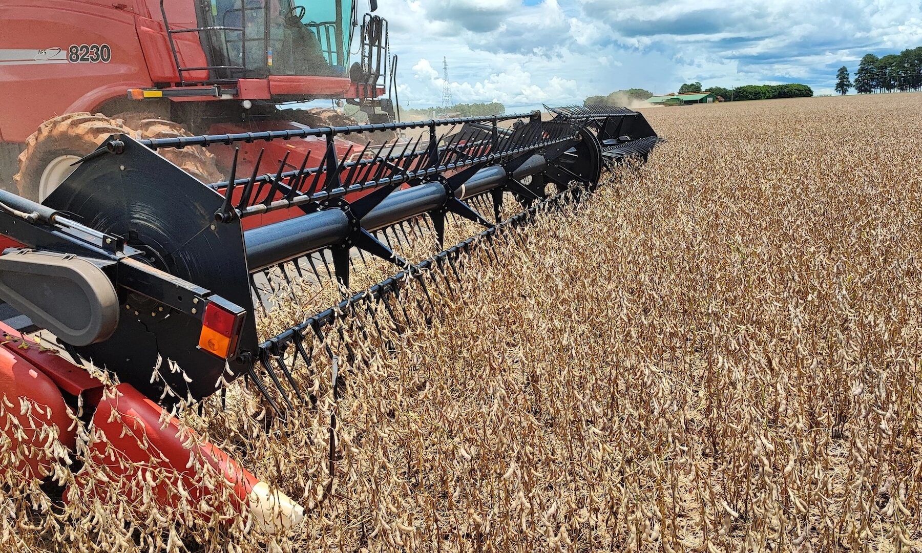 Brazil GDP - a combine harvesting soybeans on a Brazilian farm