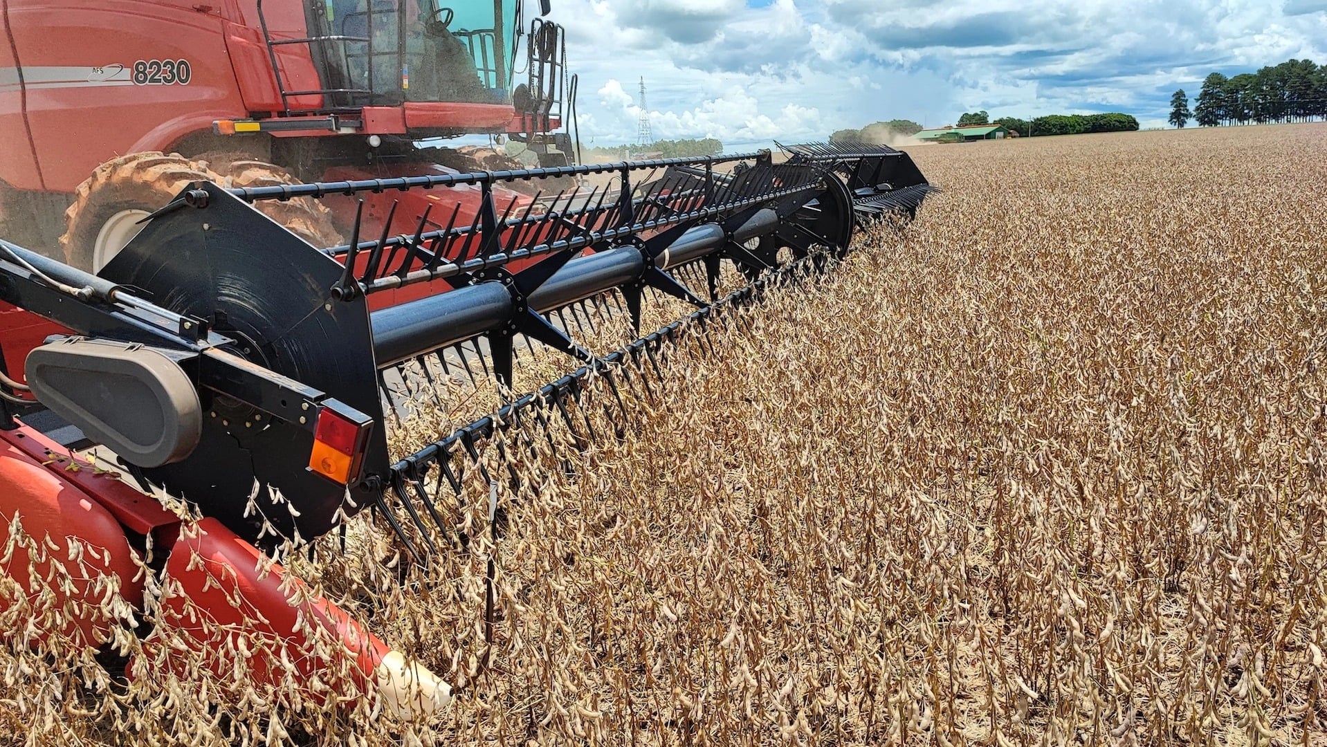 Brazil GDP - a combine harvesting soybeans on a Brazilian farm