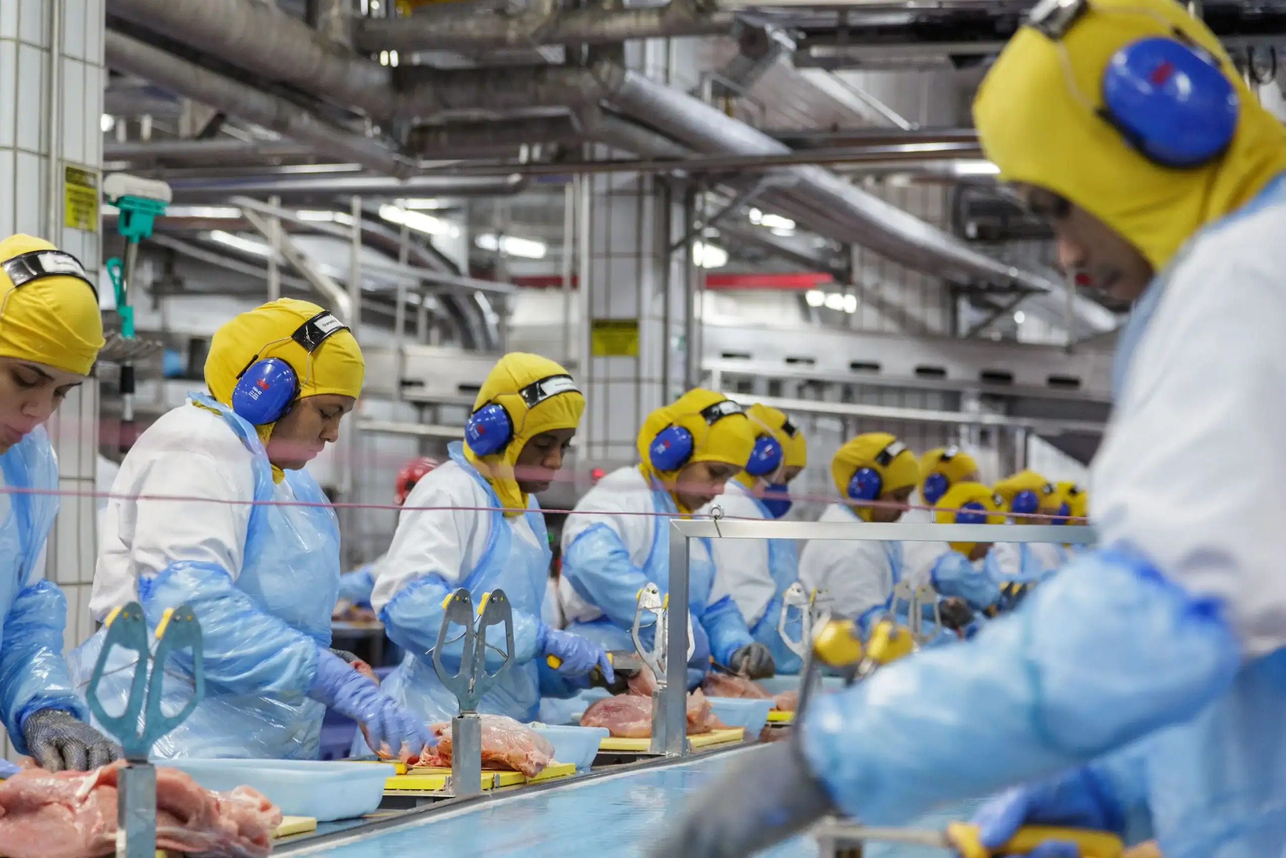 Brazilian beef - workers on a meat processing line in Santa Catarina