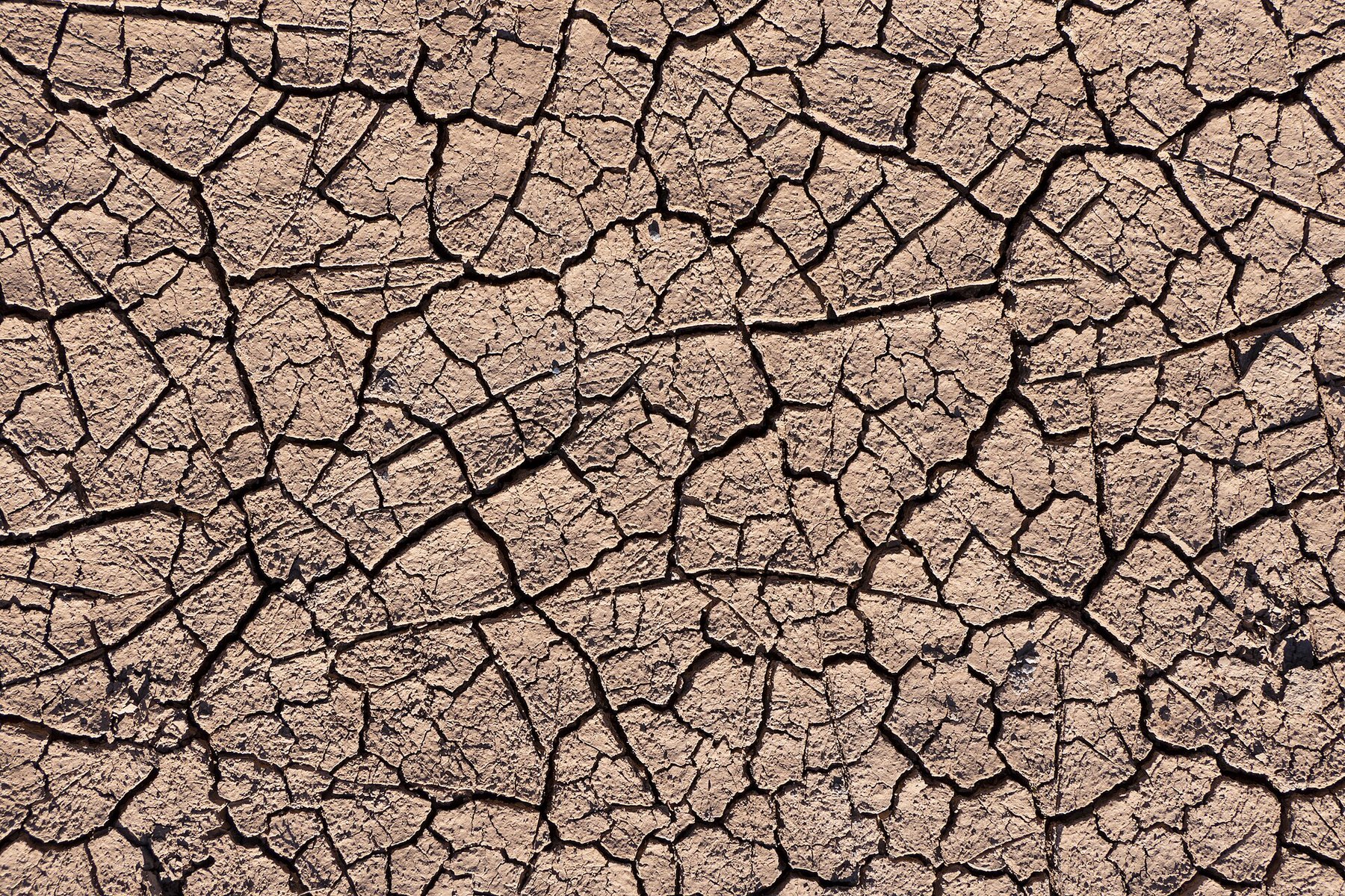 Close-up of cracked, dried mud