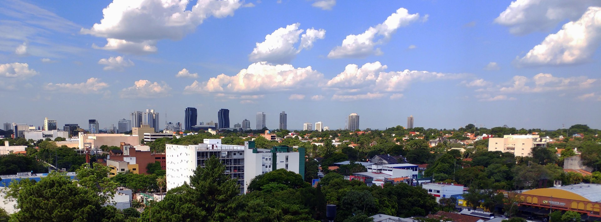 The business district skyline of Asuncion, Paraguay, with new high-rise towers above the tree line