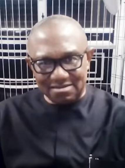 Peter Obi, the Nigeria Democratic Congress presidential candidate and former Anambra State governor